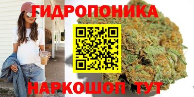 трава Свободный
