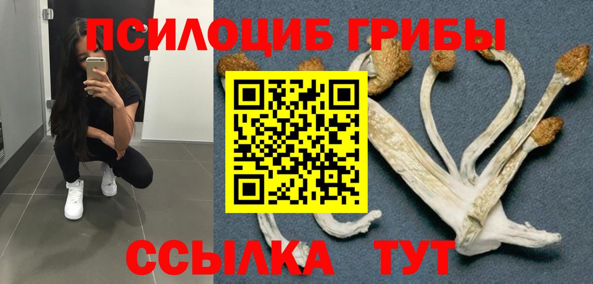 Псилоцибиновые грибы GOLDEN TEACHER  Вход с VPN  Среднеуральск  Псилоцибиновые грибы MAGIC MUSHROOMS 